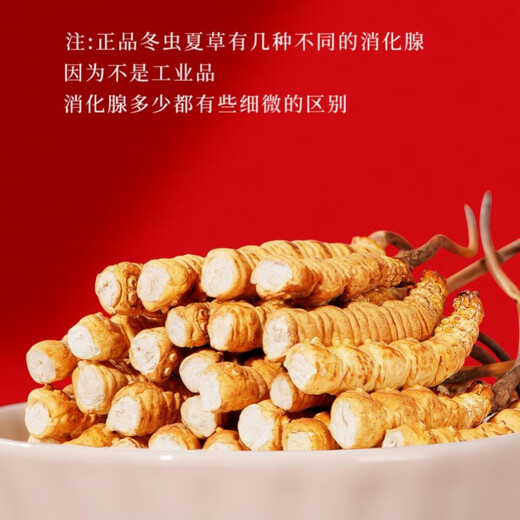 【支持质检】大断草正宗冬虫夏草断草虫草断草自食滋补正品纯肉节 断虫草10克送1克