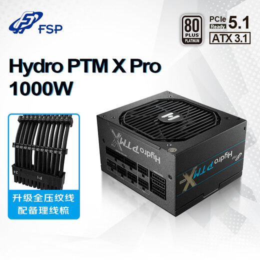 全汉（FSP）Hydro PTM X Pro1000W白金牌全模组电源（ATX3.1/PCl-E12V-2x6/130mm短机身/全压纹线） Hydro PTM X Pro1000W