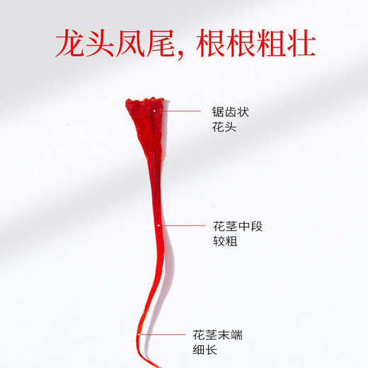 热销中正品藏红花真品正宗西藏特级藏红花批发男女生泡水喝 藏红花-根根甄选 特级甄选一瓶[1瓶装]