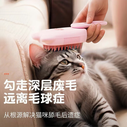 One-touch spray brush cleaning and hair removal comb for cats and dogs, steam anti-flying hair electric pet supplies, electronic spray comb with handle + essence, random colors