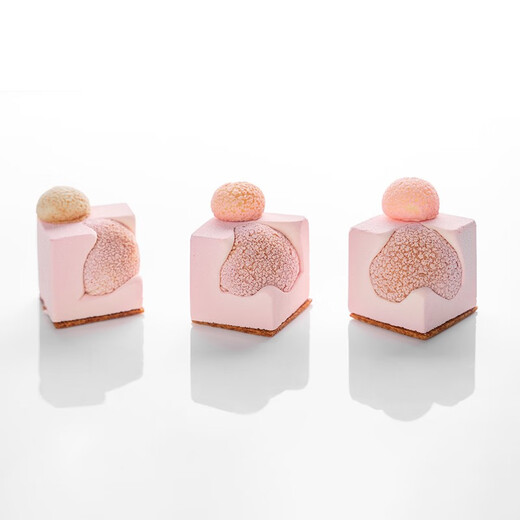 XMSJ Serie cuadrada mousse moho de silicona sándwich de cubo de chocolate francés molde para hornear de 28 conectores de ruisón cóncavo con mousse 1049
