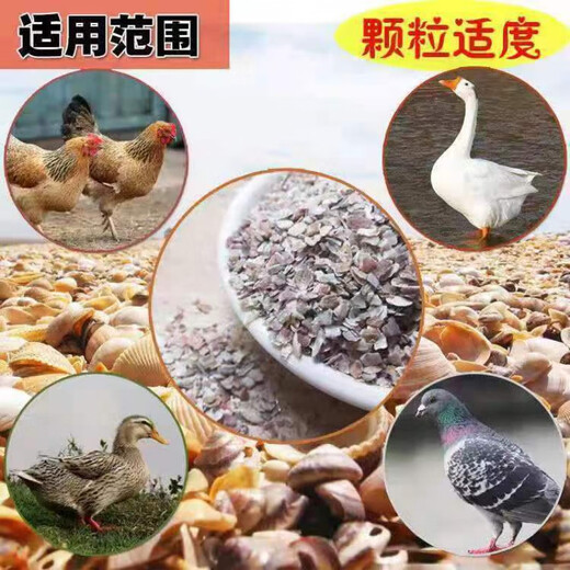 Factory direct sales of high calcium shell powder, clam shell powder to prevent soft eggs from being laid, calcium supplement to feed pigeons, chicken feed thickness, shell powder 1-2mm small particles (specialized to prevent egg pecking, calcium supplement 40Jin Jin is equal to 0.5 kg