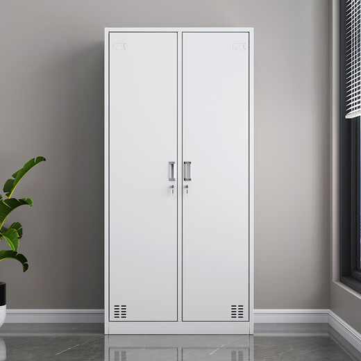 Dingmiao famous craftsman steel two-door locker iron cabinet employee locker with lock double-door dormitory changing wardrobe coat cabinet home