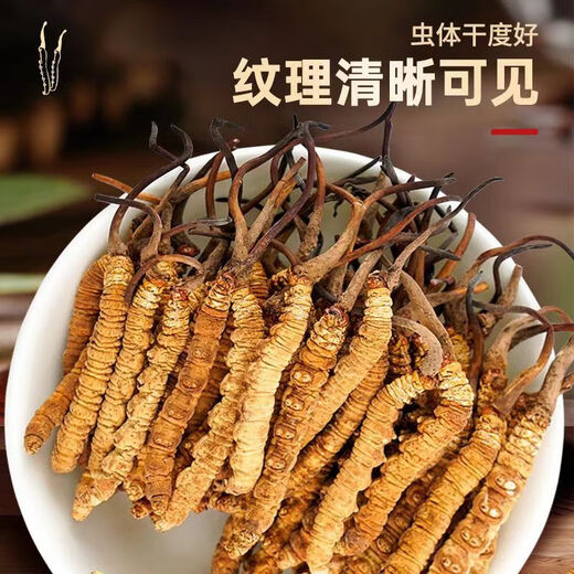
Zangzhiweng High-altitude Cordyceps sinensis Selected First Stubble Dried Cordyceps High-end Nutrition Gift Box for Elders to Leaders to Customers 4 Rods/Gaze Total 50 grams [Healthy and Nutrition, Reliable Quality]