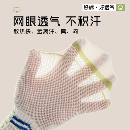 棉满满儿童袜子男宝宝新疆棉夏季薄款网眼透气防臭防螨中大童学生袜7双