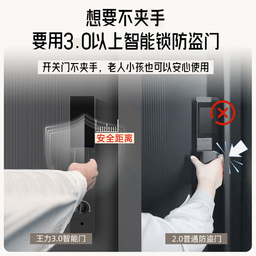 WL Wangli 4. Ebene neue Diebstahlschutztür Hauseingangstür Eingangstür Klasse A Einklemmschutz Smart Doppeltür Einzeltür A100 3.0 Freisprechserie Fingeradergesicht mit Bildschirmsperre (P60Max) Einzeltür 2150*1050&2250*950