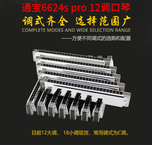 Tongbao Tombo New 6624S Pro 24-Loch Polyphonic Mundhomonica C Tune Advanced Performance Model Upgraded Electroplating Seat Plate Tongbao 6624Spro 8-Tuning-Set + Set Pack (Send U-Disk)