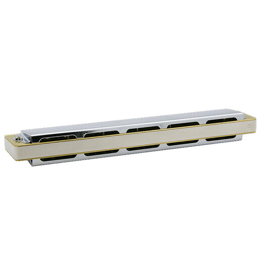 Tongbao harmonica officiel 6624S Symboles de repos et grille de cuivre en métal électroplatée adulte à 24 trous polyphonique harmonica bnm