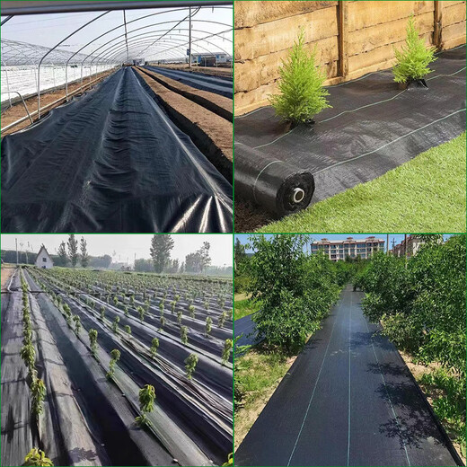 Agricultural grass-proof cloth, weed-killing cloth, agricultural ground cloth, fruit tree cover cloth, grass-shading cloth, black mulch film, durable punched slices, anti-aging fruit tree special punched slices, 1*1 meter, 20 sheets, free closing nail