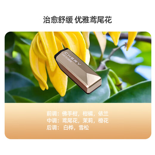 Chery Automobile Intelligent Fragrance Original Factory Special Fragrance Bomb Adapted to 8PRO/9/Arrizo 8/Fengyun A8 Soothing-Elegant Iris