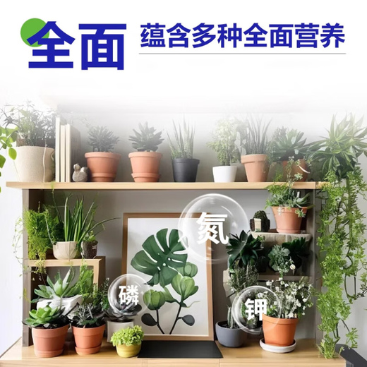 Plant Regeneration Agent Concentrated Nutrient Solution for Potted Flowers and Green Plants Universal Rotten Root Yellow Leaves Dead Tree Bare Stem Regeneration Liquid Fertilizer 3 boxes of 18 pieces (2 get 1 free)