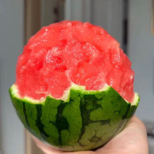 2K small sugar pill watermelon from the United States 2K small sugar pill watermelon 1.5 Jin Jin equals 0.5 kg -2 Jin Jin equals 0.5 kg