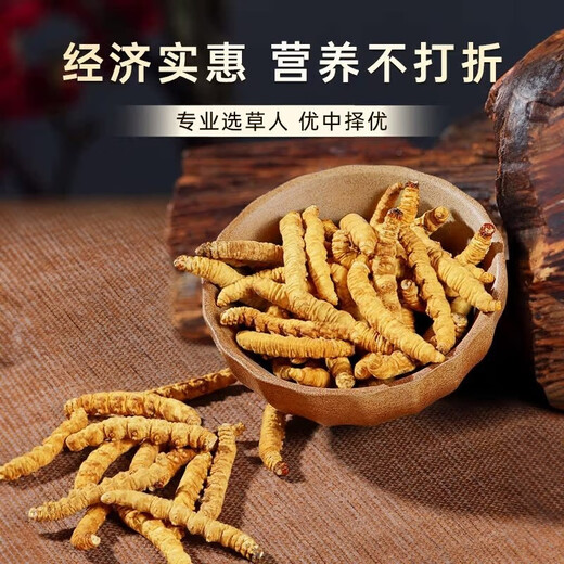 【支持质检】大断草正宗冬虫夏草断草虫草断草自食滋补正品纯肉节 断虫草10克送1克