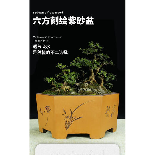 宜兴六方紫砂花盆特大兰花盆绿植花卉大号六角陶瓷盆景盆 693小号