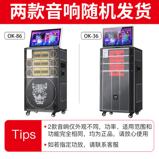 Amoi home ktv ensemble de haut-parleurs Douyin 2025 nouvel amplificateur de karaoké jukebox extérieur pour la maison tout-en-un audio de danse carrée avec affichage spectre dynamique caisson de basses 18 pouces huit voies 21 haut-parleurs mémoire 1000G