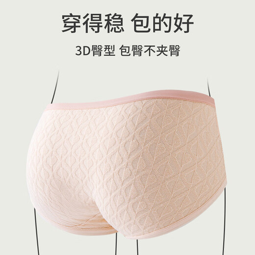 莫代尔内裤女士纯棉100A类全棉夏季薄款无痕抗菌少女大码中腰三角短裤 云粉+浅蓝+奶杏+芋紫 4条 L 【建议100-125斤】