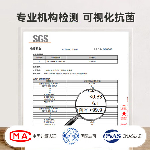 Double Gun (Suncha) Bottled Water Pump 99.9% Antibacterial Electric Water Dispenser Silent Water Filler Water Pump Folding Dustproof Single Button