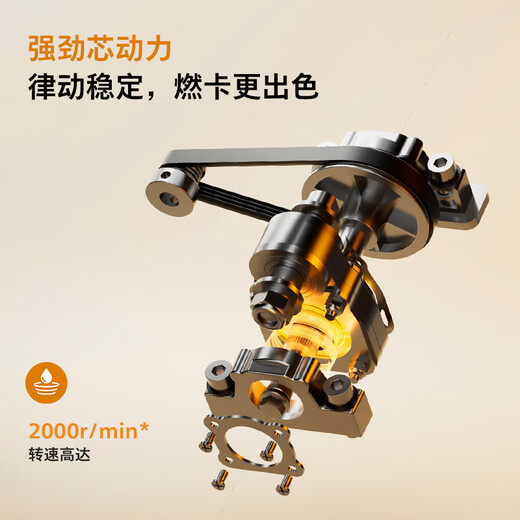 Philips Little Dolphin Fat Loss Shake Machine Household Whole Body Rhythm Lazy People Weight Loss Artifact Slim Belly Exercise Equipment 3501S