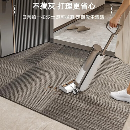 德国工艺入户门地垫高级感进门门口脚垫防滑入门门外门垫玄关地毯 灰颜-15271 120cm*120cm