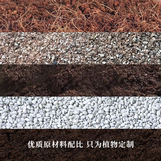 Jinyate Nährboden Monstera deliciosa Spezialboden Balkon Torf Kokosnuss Ziegelboden Dünger Bio Pflanzerde Universal 20 Liter