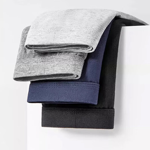 Cotton full of men's underwear pure cotton antibacterial crotch briefs breathable loose boys teen shorts 4 sets tt