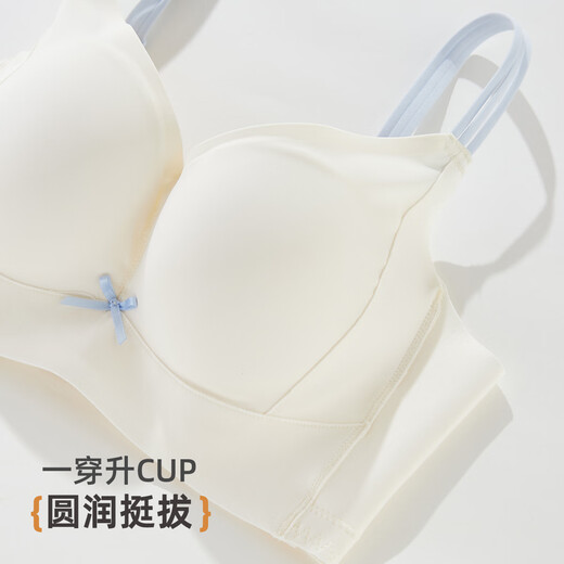 雅黛俪（ALDOLA）内衣女提拉小胸聚拢显大2025春夏新款收副乳防下垂调整型文胸罩 奶白 75A