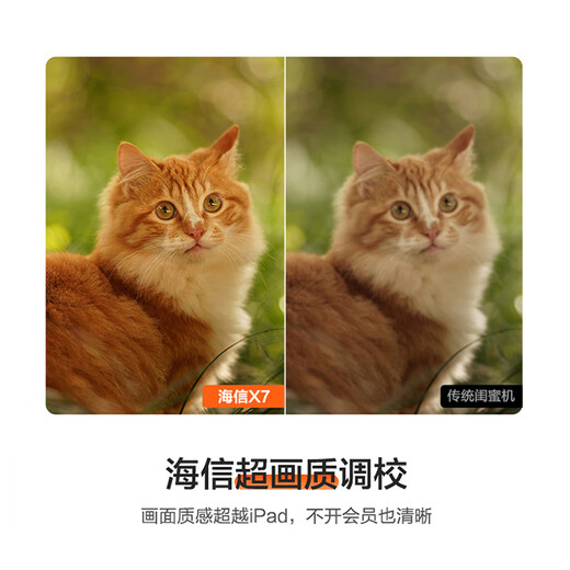 Hisense Dabai Best Friend Phone