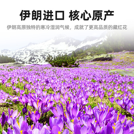 杞里香藏红花3g 中秋节礼物送妈妈女补品藏红花茶 伊朗原料西红花番红花
