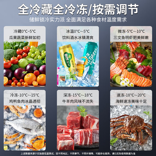 雪音冰柜减霜大容量卧式冷柜家用商用冷藏冷冻单温双温一级节能雪柜厨房囤货冰箱 728单温【智能数显】长1.43米