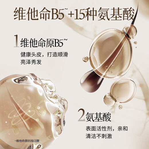 Brightening anti-dandruff anti-hair shampoo 500g plant scalp care shampoo hair strength and reduce hair breakage shampoo