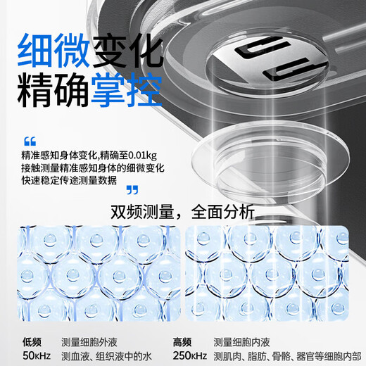 致生活家用精准电子秤体重秤智能体脂秤Type-C快充体重称电子秤减肥专用的人体秤称重计 体重秤充电款白色-明星代言