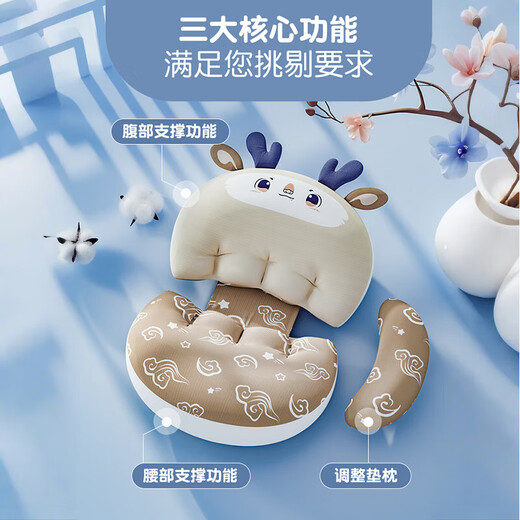 Bei Chuzhong enceinte des femmes enceintes oreiller côté oreiller de couchage côté oreiller côté coussin de latérus