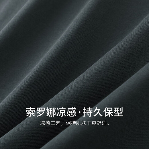 杉杉（FIRS）抗菌凉感刺绣圆领短袖T恤男2025夏季新款索罗娜冰丝半袖527 石墨灰 L 175/92A