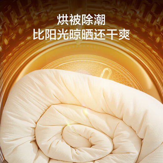 Secadora Haier doméstica 10KG bomba de calor mantenimiento de secadora lavado de aire secado inteligente con un clic filtración de pelusa esterilización e intercambio de ácaros bomba de calor de doble motor + eliminación de pelusa a nivel de aire EHG100MATE59