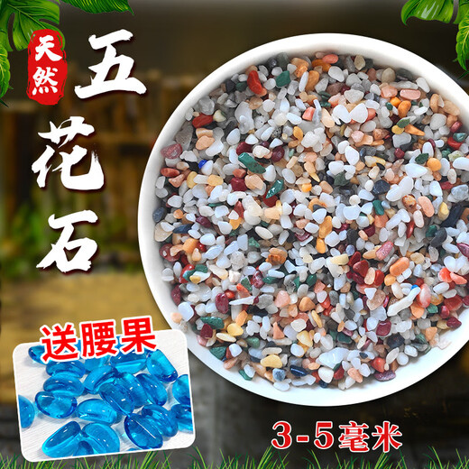Runhuanian Pure Rain Flower Stone Potted Succulent Pavement Stone Small Multicolored Stone Fish Tank Pavement Ornamental Stone Colorful Small Stone Multicolored Stone 3-5mm 1Jin Jin is equal to 0.5 kg. Pack a