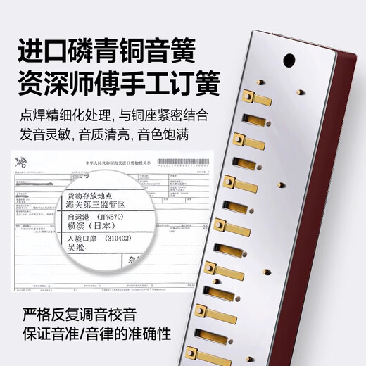 国光德国进口音簧国光口琴复音专业演奏级重音C调初学者入门乐器送礼 28孔C调重音【专业演奏级】