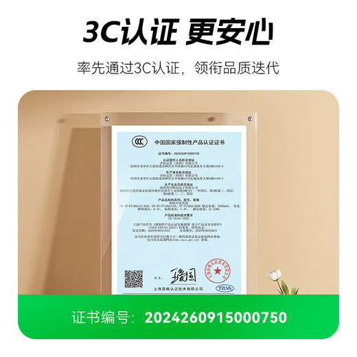 Fengbiao (fb) np-fv100a camera batterie Sony AX45 CX610 PJ675 CX680 AX700