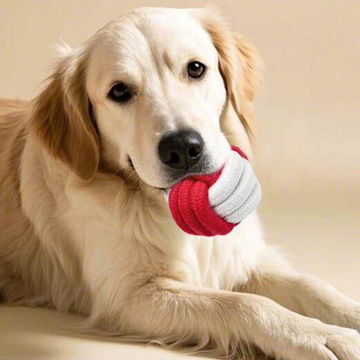 ZanChong Pet Dog Teething Training Ball 4 Pack Puppy Small Dog Toy Bite-resistant Teething Ball Pet Puppy Small Self-Happiness