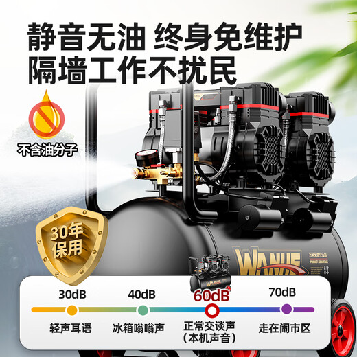 旭杉斯工马空压机充气泵小型220v便携式工业级木工静音高压打气泵空气压 3990W-20L双电磁阀+全铜无刷+ 3180W/3890W/3990W/4290W