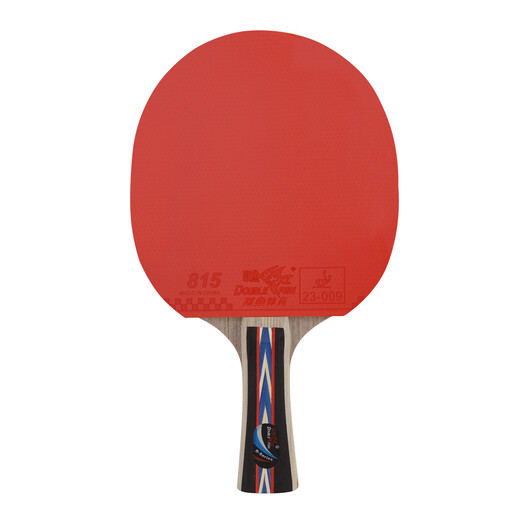 Pisces table tennis racket double racket set pendulum horizontal racket 6D six-star table tennis racket table tennis racket 2 pieces with 6 balls