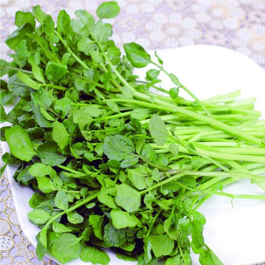 Xiangbin Four Seasons Guangdong Watercress Seeds Field Planting Wild Aquatic Balcony Easy to Plant Live Vegetable Seeds Watercress Seeds Watercress Seeds 3g Original x10 Pack
