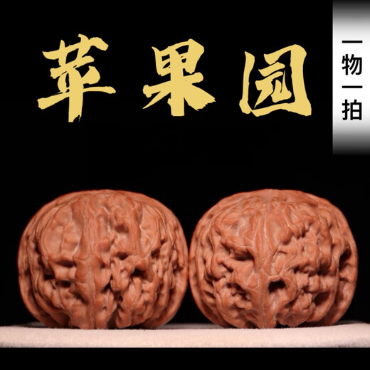 DR-FLVVS南疆石核桃文玩苹果园狮子头门头沟老树矮桩闷尖球体把玩非四座楼 16763【44大肚子苹果园】