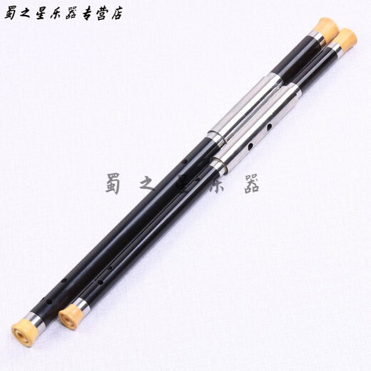 时笙黑檀木乌木双管横吹巴乌降B/F调C/G调学生成人演奏乐器 降B调+F调+