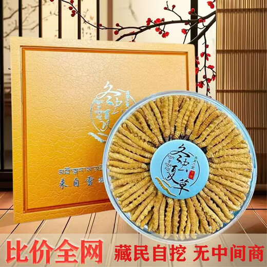 High-altitude Cordyceps sinensis genuine first-term dry goods Cordyceps 3 roots/g 2 roots/g multiple Specifications high-end gift boxes Naqu grass king 2 roots per gram 50 pieces for the same style 1 root