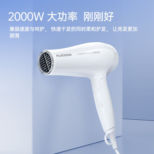 飞科（FLYCO）飞科负离子可折叠电吹风机家用大功率恒温护发速干宿舍学生风筒 FH6232 2000W可折叠  白色