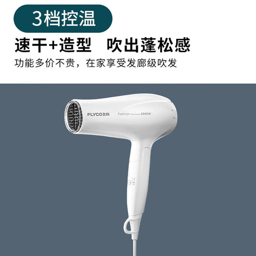 FLYCO hair dryer for home high power constant temperature hair care large wind speed drying dormitory bore tail cargo machine [quality home appliances] Feike FH6232 same model [BR1626] + air cushion comb + roll comb