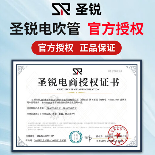 圣锐SR8000电吹管【官方正品】中老年人初学者乐器电萨克斯葫芦丝笛子 SR8000官方标配+直播教学
