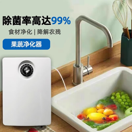 EVANLEY German ozone generator disinfection machine household air purifier water treatment efficient sterilization and disinfection deodorization and odor drinking water fruit and vegetable cleaning to remove pesticide residues 2000mg water treatment model-12 liters