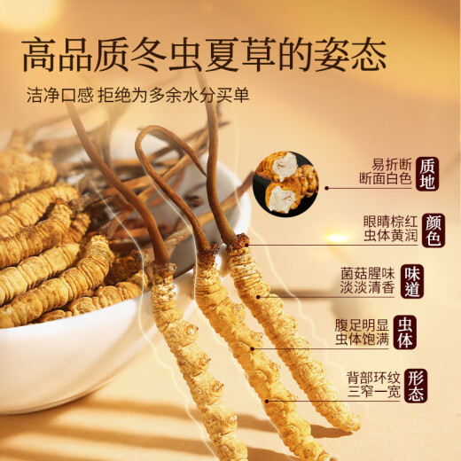 同仁堂品牌冬虫夏草约5根/g1g约5根干虫草滋补品营养品 礼品北京同仁堂