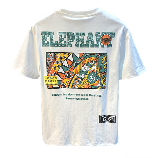 Beihai 2 Lane High-end Short-sleeved T-shirt for Men's Summer New Loose Round Neck Printed T-shirt Sweat-absorbing Breathable Half-sleeved Cotton Top White [JSW9901#] L Suitable for 100-110